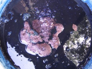 A fermenting indigo dyepot with its trademark scum. 