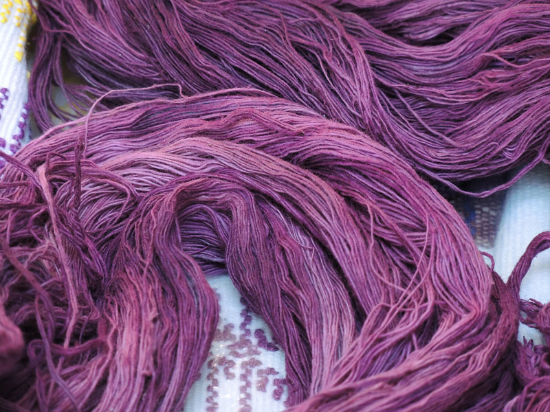 The Color Purple Purpura Shell Dyeing In Oaxaca Clothroads